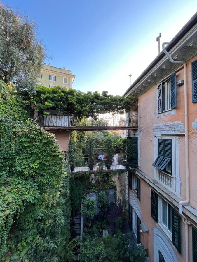 Apartment L'ulivo E Il Colibri *